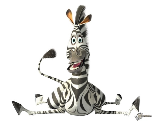 foli009's profile picture. 