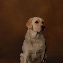 JasonWilkie1's profile picture. 