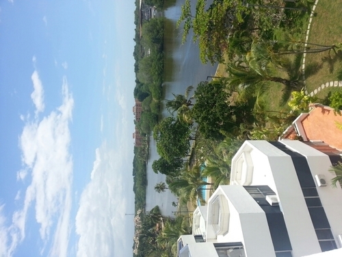 robando68's profile picture. 