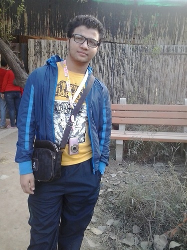 Chartered Accountant