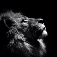 قمر بني تميم™ (@intisaraltamimi) 's Twitter Profile