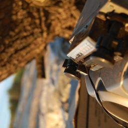 bauhaus15's profile picture. 