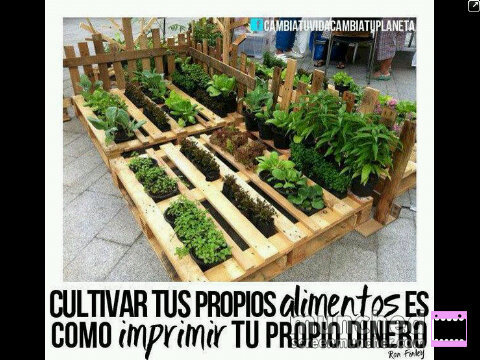 Mi ambición en la vida es crear cosas, cultivar sueños y difundir ideas... A mi lo qué me moviliza no es la fama, si no el impacto qué alcancen mis historias.