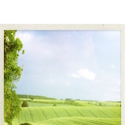 CMJTurner's profile picture. 