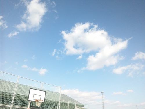 basketballgirls manager＊引退しました。
フォローありがとうございます！
支えてくれる人に感謝して。