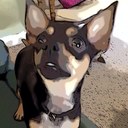 Erik Berger - @berger_erik - Twitter