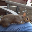 Debbie Best - @DBest1222 - Twitter