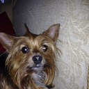 leanne kemp - @kemp310 - Twitter