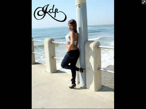 VW Girl!!! :P