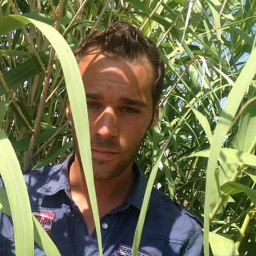 JulinoooJulio's profile picture. 