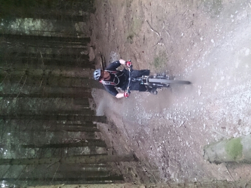 Rubycon55S's profile picture. 