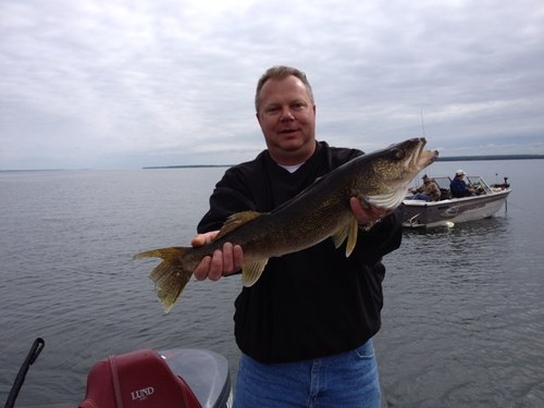 dwitt25's profile picture. 