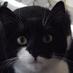 Adult Human Female (@missflowerpixie) Twitter profile photo Adult Human Female (@missflowerpixie) Twitter profile photo