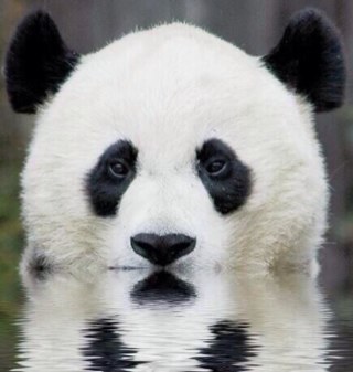 AustinFFA's profile picture. I play video games.