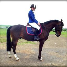 Official Twitter account of Kelly Higgins, Freelance Groom