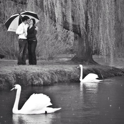 thefirstmatt's profile picture. lover of mountain bikes, great food, great wine, fan of healthy living and exercise, budding stocks investor.