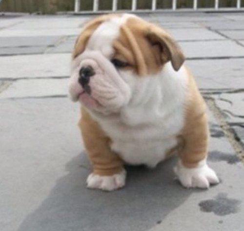 GethinWhittall's profile picture. 