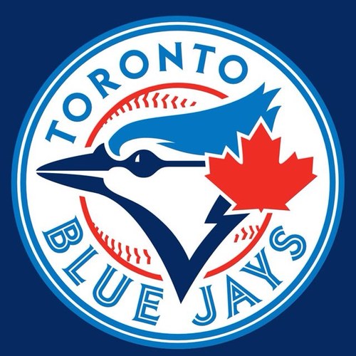 Toronto Blue Jays Fan

Baseball Fan