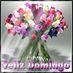 Paula Guedes Vega (@paulagv60) Twitter profile photo