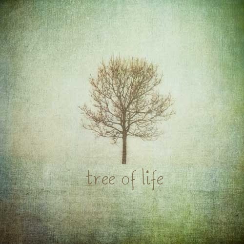 964647645's profile picture. 日本に留学中、、