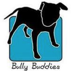BullyBuddies is a not for profit BC based pitbull and bully breed rescue. Visit http://t.co/Ho4mg7pDO7 to view our available dogs!