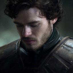 Sebastian Hernandez, a warrior, a loyalist, a friend, who will fight until the very end. #NobleRP #Loyalist {18+} FC: Richard Madden