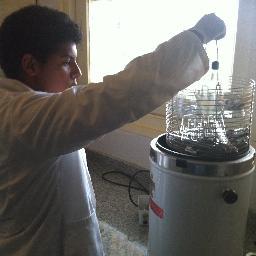 hourssihamza's profile picture. 