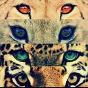 some person - @HannahDurham12 - Twitter