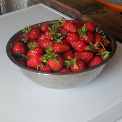 MarreDcons's profile picture. Je ne dis rien, mais je n'en pense pas moins...