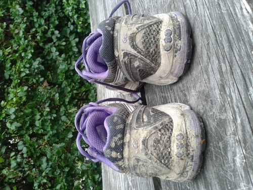 daaromdienke's profile picture. Medewerker Samenwerking bij de Bibliotheek Oost-Achterhoek, secretaris Stichting Filmhuis Winterswijk, bestuurslid/ vrijwilligerscoördinator AV Archeus.