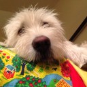 Monique Barron - @barron_monique - Twitter