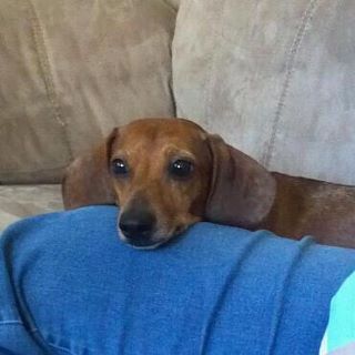 KharmengiaCTR's profile picture. Kharmengia (like the vw), wowaholic, bookworm, proud resident of Aerie Peak.