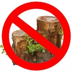 Beach Tree and Stump Grinding - Serving the cities of Paradise and Chico, CA for over 23 years! Call Us Today! - (530) 570-2234