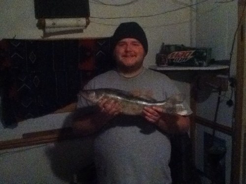 Hosey2455's profile picture. 