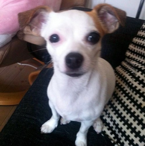 svorsken67's profile picture. Swede living in Norway since 2003. Cyber Security nerd, love to paint miniatures to relax. Brewing my own beer is also something i am very found of doing.