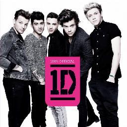 I love music, my favorite bands are one direction and justin bieber,'m beliectioner