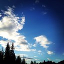 caitlin Jensen - @roxy7690 - Twitter