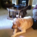 jane anglin - @momanlin - Twitter