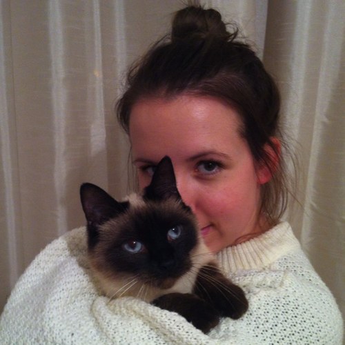 cats cats cats