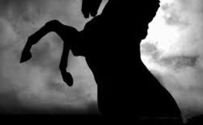 BergeronRichard's profile picture. Consultant en développement et croissance organisationnel je vous invite à découvrir le cercle du leadership en vous !