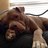 Profile Picture of Carl Scott (@@carlscott67) on Twitter