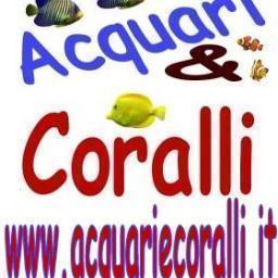 AcquariCoralli's profile picture. acquariecoralli.it è il nuovo Web Shop di Ulisse Quality Shop, dedicato in via esclusiva ad acquariofilia, acquariologia, e al mondo sommerso di casa.