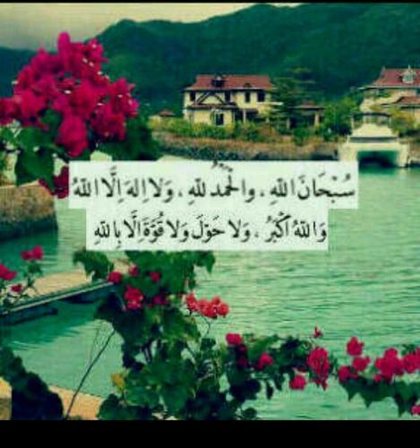 سبحان الله وبحمده ♥..