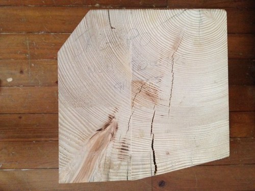 parrauso's profile picture. 