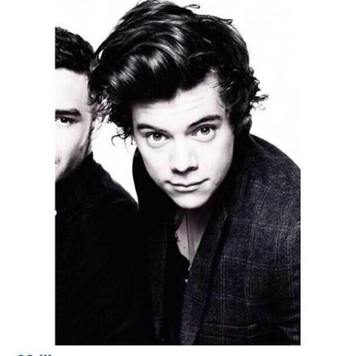 ***FOLLOW @ZIALLSLOUIS*** AND ILL DM YOU TO LIAM MICHAEL AND CALUM OR ARIANA CHER AND LITTLE MIX!  @ZIALLSLOUIS