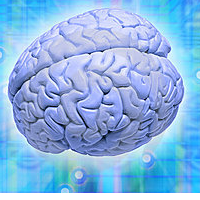 DrMarwaAzab's profile picture. Lecturer, Life Coach & Public Speaker