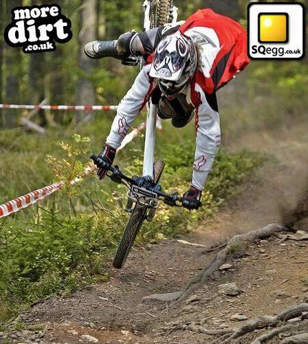 Mad_dog_ste's profile picture. 