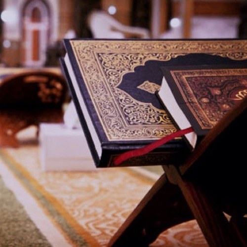 ✨اللهـم إجعـل القــرآن ربيـع قلوبنــِا ✨