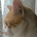 R.A. (@1970Lf) Twitter