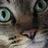 tw_minoru's profile image